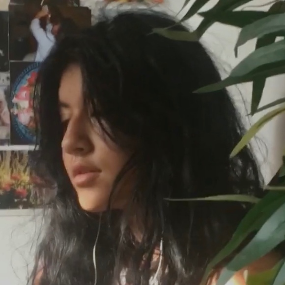 Meet your Posher, Posh - Picture 1 of 1